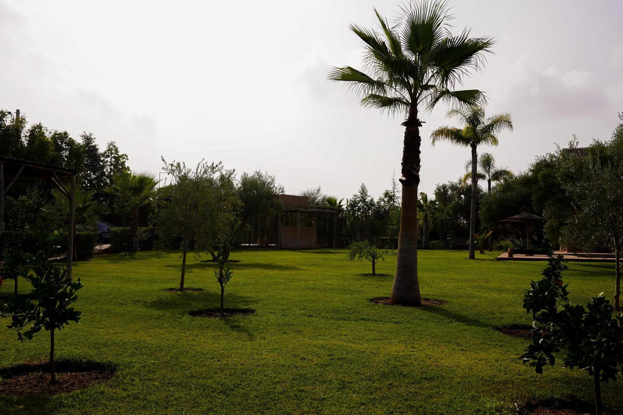 Dar Fatima Tamazouzt Hotel Tamazouzte  Exterior foto